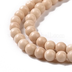 Bois pétrifié naturel perles rondes brins&nbsp;X-G-P128-49-4mm