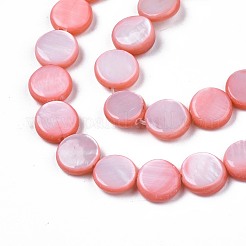 Нити бусин из пресноводных ракушек SHEL-T009-B16-02