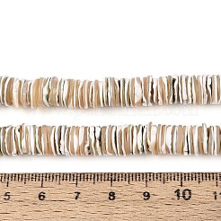 Нити светящихся бусин из натуральных ракушек SSHEL-T017-34