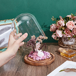 Стеклянные крышки купола cloche&nbsp;AJEW-WH0696-225A-02