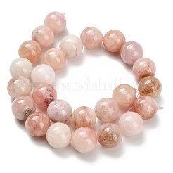 Natürliche rosa Morganit Perlen Stränge&nbsp;G-H335-B01-16mm