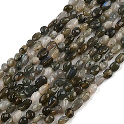 Природные лабрадорита бисер нитей G-C250-03