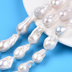 Fili di perle di keshi di perle barocche naturali, perla d'acqua dolce coltivata, pepite, colore conchiglia, 13~35x12~16.5x12~16mm, Foro: 0.7 mm, circa 15~26pcs/filo, 15.75 pollice ~ 16.54 pollici (40 cm ~ 42 cm)