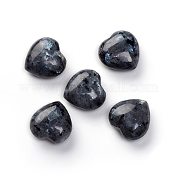 Larvikita natural corazón amor palma preocupación piedra, cristal curativo, 25~25.5x25.5x12mm