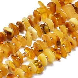 Perles d'ambre naturel brins, puces, 7~13x8~9x3~4mm, Trou: 1mm, Environ 75 pcs/chapelet, 14.76'' (37.5 cm)