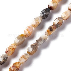 Chapelets de perles en agate fou naturel, torsion, 12x6x6mm, Trou: 1mm, Environ 33~34 pcs/chapelet, 15.39''~15.98'' (39.1~40.6 cm)