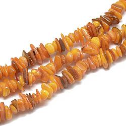 Freshwater Shell Beads Strands, Dyed, Chip, Dark Orange, 8~28x6~8x1~4.5mm, Hole: 1mm, about 340~380pcs/strand, 29.9 inch