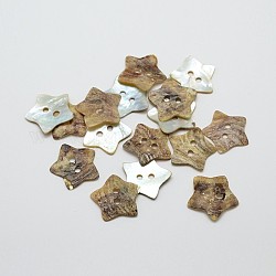 2 отверстия звезда мать перламутровыми пуговицами, кнопка оболочки akoya, верблюжие, 19x1~2 мм, отверстие : 2 мм, около 432 шт / упаковка