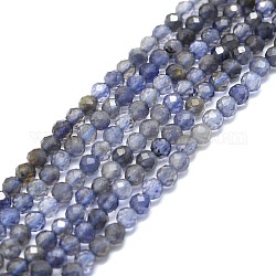 Brins de perles d'iolite / cordiérite / dichroite naturels, facette, ronde, 3mm, Trou: 0.7mm, Environ 132 pcs/chapelet, 15.16''~15.55'' (38.5~39.5 cm)