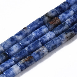 Натуральное синее пятно нитки из бисера яшмы, колонка, 5~6x3 мм, отверстие : 0.8 мм, около 62~63 шт / нитка, 15.35~15.75 дюйм (39~40 см)