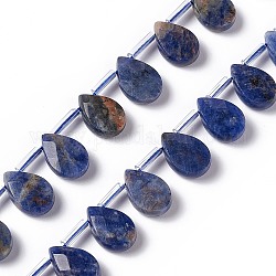 Natur Sodalith Perlen Stränge, oben gebohrte Perlen, facettiert, Träne, 12x8x4 mm, Bohrung: 0.7 mm, ca. 32 Stk. / Strang, 15.08~15.24 Zoll (38.3~38.7 cm)