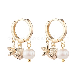 Boucles d'oreilles créoles étoile de mer & coquillage & perle naturelle, bijoux en laiton pour femmes, or, 26.5mm, pin: 0.8 mm