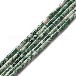 Fili di perle di diaspro spot verde naturale, colonna, 9 ~ x 3 mm, Foro: 0.8~1 mm, circa 40~43pcs/filo, 15.35 pollice ~ 15.55 pollici (39~39.5 cm)