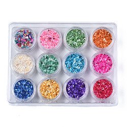 Natural Freshwater Shell  Flakes, Manicure Nail Art Decoration, Mixed Color, 0.5~4x0.5~2x0.1~1mmk, , about 10g/bottle, 12bottle/box