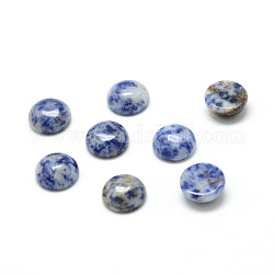 Cabochons de jaspe tache bleue naturelle, demi-rond, 6x3mm