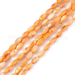 Fili di perline tinti in conchiglia naturale d'acqua dolce, occhio di cavallo, arancione, 9.5x5mm, Foro: 0.8 mm, circa 41pcs/filo, 14.96'' (38 cm)