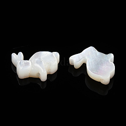 Perles de coquillage blanc naturel, lapin, 11x12x3mm, Trou: 0.9mm