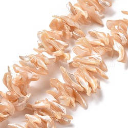 Naturelles trochides coquille brins de perles, puce, peachpuff, 2~11x22~25x5~8mm, Trou: 0.8mm, Environ 93~148 pcs/chapelet, 14.57~15.94 pouce (37~40.5 cm)