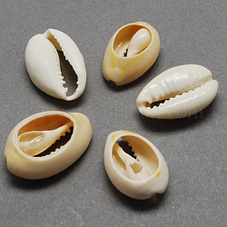 Natürliche Kaurimuschel Perlen, Oval, kein Loch / ungekratzt, Fischcremesuppe, 20~23x14~20x9~13 mm