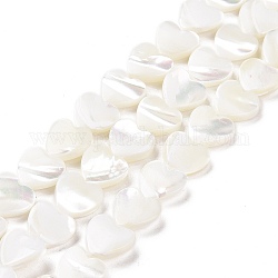 Hebras de cuentas de concha de trochus natural, corazón, blanco, 10x10x3.5mm, agujero: 0.7 mm, aproximamente 42 pcs / cadena, 15.43'' (39.2 cm)