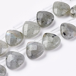 Natural Labradorite Beads Strands, Top Drilled Beads, Faceted, Teardrop, 10~10.5x10~10.5x5mm, Hole: 0.6mm, about 39pcs/strand, 15.94 inch(40.5cm)