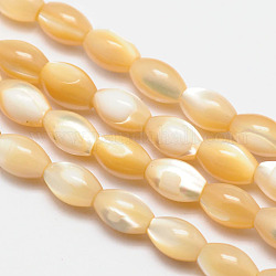 Natural Sea Shell Oval Bead Strands, Moccasin, 9x6mm, Hole: 1mm, about 47pcs/strand, 15.9 inch