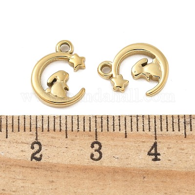 Подвески из нержавеющей стали 304 STAS-L022-451G-1