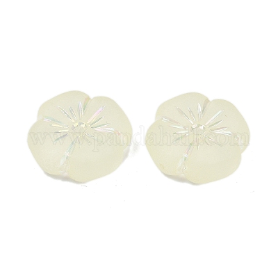 Матовые прозрачные акриловые бусины OACR-P029-19B-03-1