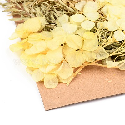 Сушеный цветок&nbsp;DIY-B018-15-1