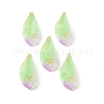 Непрозрачные акриловые подвески SACR-C006-01C-1