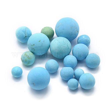 Dyed & Heated Natural Howlite Beads G-F678-27A-1