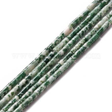 Chapelets de perles en jaspe à pois verts naturels G-A201-B02-1