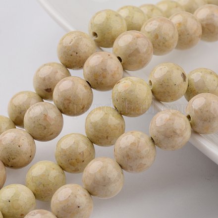 Dyed Natural Fossil Beads Strands G-E328-8mm-13-1