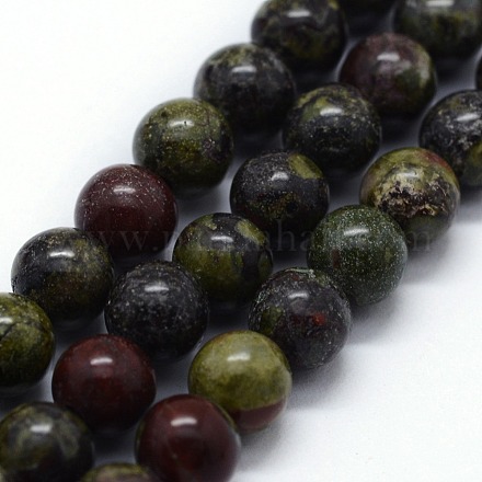 Natural Bloodstone Beads Strands G-I199-21-12mm-1
