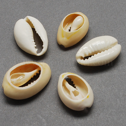 Perle naturali di conchiglia di ciprea BSHE-Q296-1-1