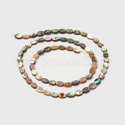 Paua Shell Beads Strands G-D171-02-1
