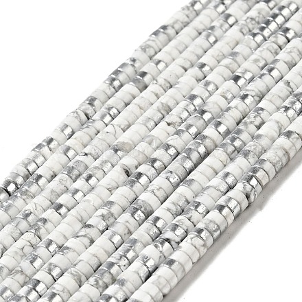Electroplated Natural Howlite Bead Strands G-D470-01A-1