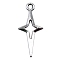 Tibetan Style Alloy Pendants, Star Charms, Antique Silver, 23x10mm