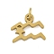 316L Surgical Stainless Steel Pendants, Constellation Charms, with Jump Ring, Golden, Aquarius, 8.5x10x1.5mm, Hole: 2.5mm