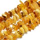 Perles d'ambre naturel brins G-K245-H13-01-1