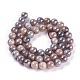 Chapelets de perles de sunstone naturelle naturelles G-I247-14B-2