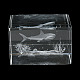 Figurina di vetro animale con incisione laser 3d DJEW-R013-01B-3