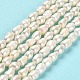 Natural Cultured Freshwater Pearl Beads Strands PEAR-E016-072-2