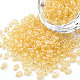 Transparent Czech Glass Seed Beads SEED-N004-005-C04-1