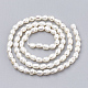 Natural Cultured Freshwater Pearl Beads Strands X-PEAR-S012-76A-2