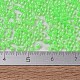 MIYUKI Delica Beads X-SEED-J020-DB2040-4