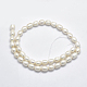 Natural Cultured Freshwater Pearl Beads Strands PEAR-F007-77-2