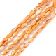 Brins de perles d'eau douce naturelles teints en coquille SHEL-M018-13-08-1