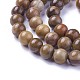 Natural Petrified Wood Beads Strands G-P430-09-B-3