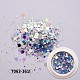 Holographic Nail Glitter Powder Flakes MRMJ-T063-361I-2